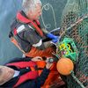 Fisherman's CatchCam