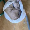 samuelwxpp