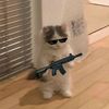 is.username.1