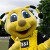 bvb_fan228