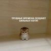 kseniaqwert10