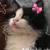 its_hannahbanana7