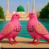 noorfatma66s