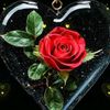 mani_don95