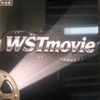 wanshitong2593