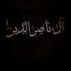 313.nasser.di