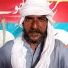 riasat.ali4170