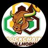 .blockchainbullhornalph1