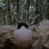 olive.pl.music