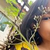 baiploo576