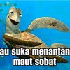 nandarsailor