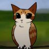 meowl9918