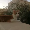 yaraaaaaaaaaaaaaa25