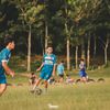 nal_aja085