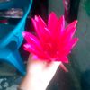 khan.samiul28