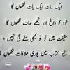 malik.awan1294