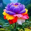 md.darul.islam14