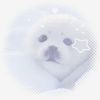~•|Ириска.Seal|•~