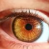 .yeux.marrons