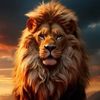 user5582017804181