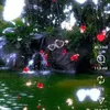 ivetedasilva7800