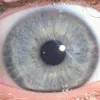 Frutti_teile334