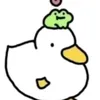 nicia9272