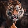 santhosh