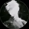 z_313_25