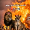 jahid.stanco