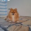luzfocoefe