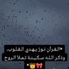 user7772719861716