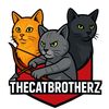 CatBrotherz