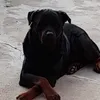 manuel.dragotta8