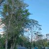 kamunanyeaa094