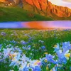canhdepthiennhien07