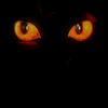 mohamedlhsn651