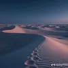 canhdepthegioi21