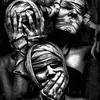 stevex_2