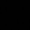 araskargo98