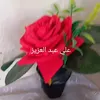 user8670810715255