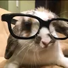 tnlyeunmp