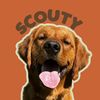 scouty.thegolden