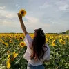 SUNFLOWER 🌻