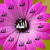 bungaa_143