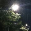 kausar_192281702