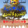 user6130384829866