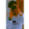 only_imran3