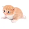 kitty_tiktok26