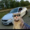 user8706622466802